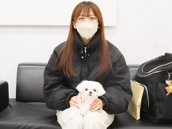 モデル犬の新しい家族が決まりました！PART③